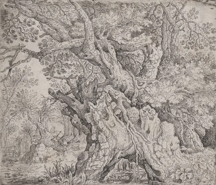 Framed Print : Gnarled Tree, ca. 1608-09. Creator: Roelandt Savery