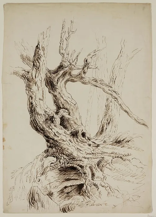 Framed Print : Gnarled Tree Trunk, c1826. Creator: Thomas Cole Framed Print : Gnarled Tree Trunk, c1826. Creator: Thomas Cole