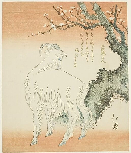 Goat beneath a plum tree, n. d. Creator: Totoya Hokkei