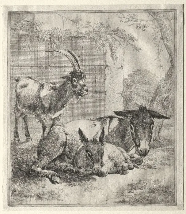 Framed Print : Goat and Donkeys. Creator: Johann Heinrich Roos (German, 1631-1685) Framed Print : Goat and Donkeys. Creator: Johann Heinrich Roos (German, 1631-1685)