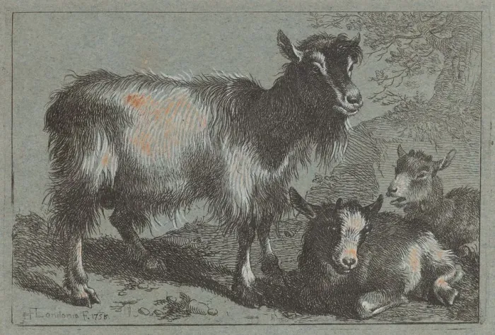 Framed Print : Goat and Two Kids, 1758. Creator: Francesco Londonio Framed Print : Goat and Two Kids, 1758. Creator: Francesco Londonio