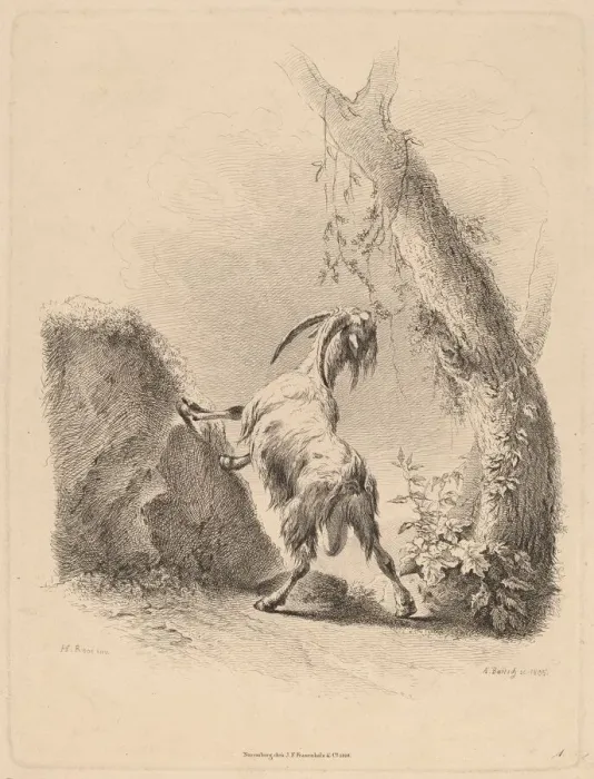 Framed Print : Goat in a Landscape, 1805. Creator: Adam von Bartsch Framed Print : Goat in a Landscape, 1805. Creator: Adam von Bartsch