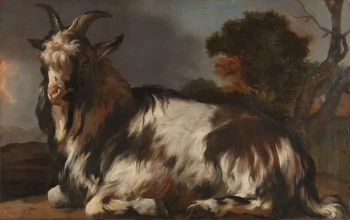 Framed Print : Goat Lying Down, 1645-1660. Creator: Jan Baptist Weenix