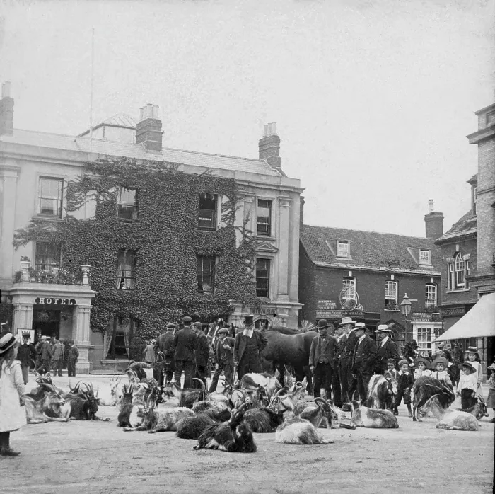 Framed Print : Goat market, possibly Ireland, 1895. Creator: Robert Augustus Henry L'Estrange. Goat market, possibly Ireland, 1895. Creator: Robert Augustus Henry L'Estrange Framed Print : Goat market, possibly Ireland, 1895. Creator: Robert Augustus Henry L'Estrange. Goat market, possibly Ireland, 1895. Creator: Robert Augustus Henry L'Estrange