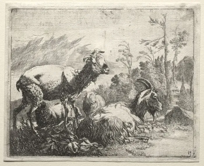 Framed Print : Goats, 1665. Creator: Johann Heinrich Roos (German, 1631-1685) Framed Print : Goats, 1665. Creator: Johann Heinrich Roos (German, 1631-1685)