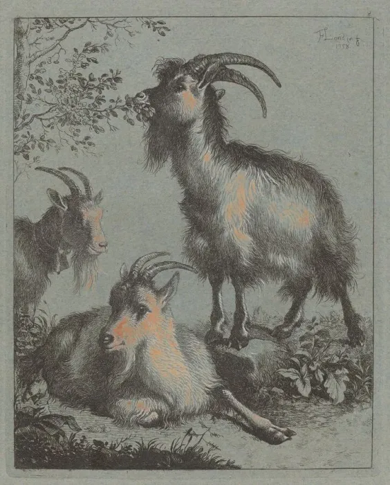Framed Print : Three Goats, 1758. Creator: Francesco Londonio Framed Print : Three Goats, 1758. Creator: Francesco Londonio
