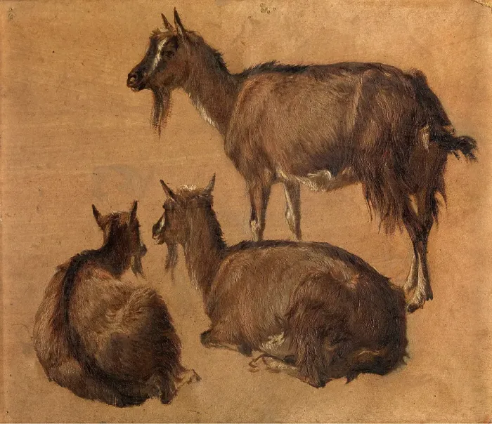 Framed Print : Goats, c1870s. Creator: Andre Plumot Framed Print : Goats, c1870s. Creator: Andre Plumot