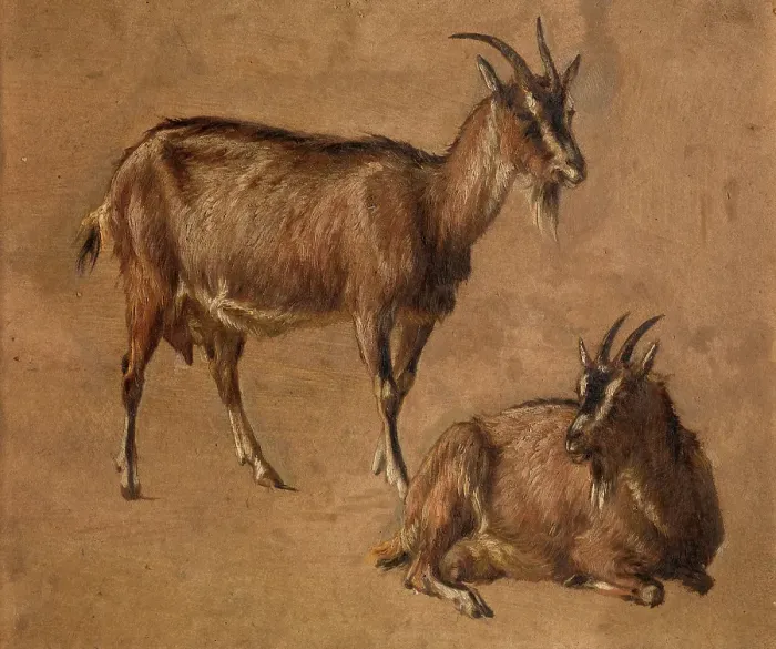 Framed Print : Goats, c1870s. Creator: Andre Plumot Framed Print : Goats, c1870s. Creator: Andre Plumot