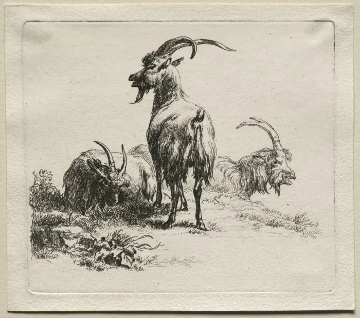 Framed Print : Three Goats. Creator: Nicolaes Berchem (Dutch, 1620-1683) Framed Print : Three Goats. Creator: Nicolaes Berchem (Dutch, 1620-1683)
