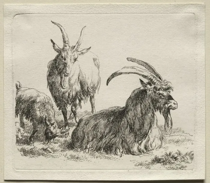Framed Print : Three Goats. Creator: Nicolaes Berchem (Dutch, 1620-1683) Framed Print : Three Goats. Creator: Nicolaes Berchem (Dutch, 1620-1683)