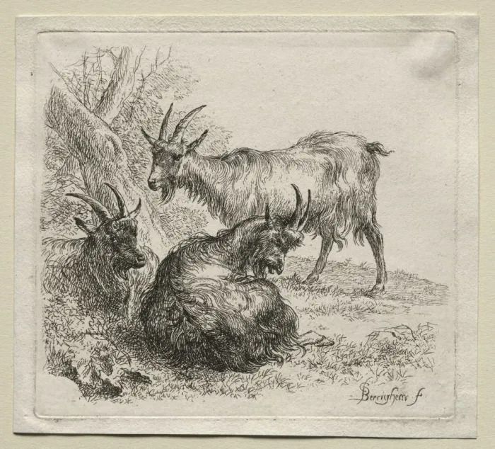 Framed Print : Three Goats. Creator: Nicolaes Berchem (Dutch, 1620-1683) Framed Print : Three Goats. Creator: Nicolaes Berchem (Dutch, 1620-1683)