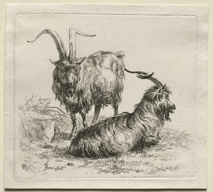 Framed Print : Two Goats. Creator: Nicolaes Berchem (Dutch, 1620-1683) Framed Print : Two Goats. Creator: Nicolaes Berchem (Dutch, 1620-1683)
