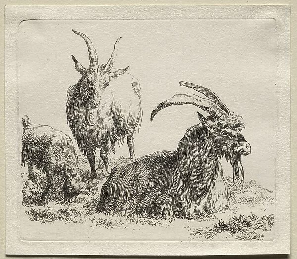 Three Goats. Creator: Nicolaes Berchem (Dutch, 1620-1683)