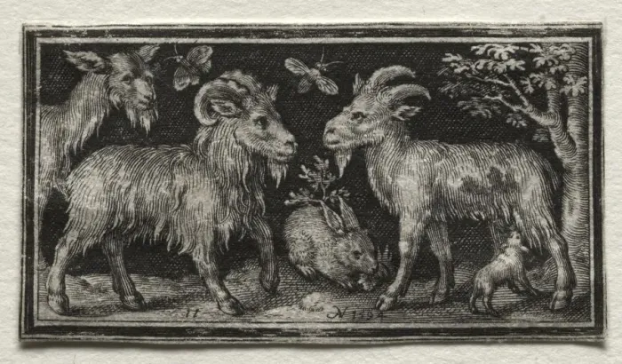 Framed Print : Goats and Hare, 1594. Creator: Nicolaes de Bruyn (Netherlandish, 1571-1656); A. van Londerseel Framed Print : Goats and Hare, 1594. Creator: Nicolaes de Bruyn (Netherlandish, 1571-1656); A. van Londerseel