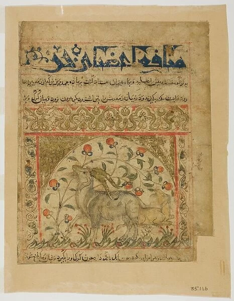 Two Goats from Manafi al-Hayawan (On the Usefulness of Animals) of Ibn Bakhtishu, c