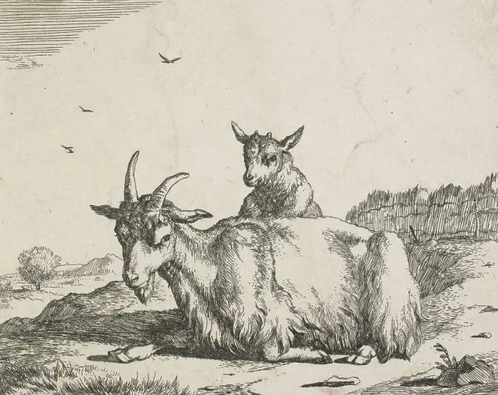 Framed Print : Goats: Plate 6: Nanny goat and kid, Mid 17th century. Creator: Marcus de Bye Framed Print : Goats: Plate 6: Nanny goat and kid, Mid 17th century. Creator: Marcus de Bye