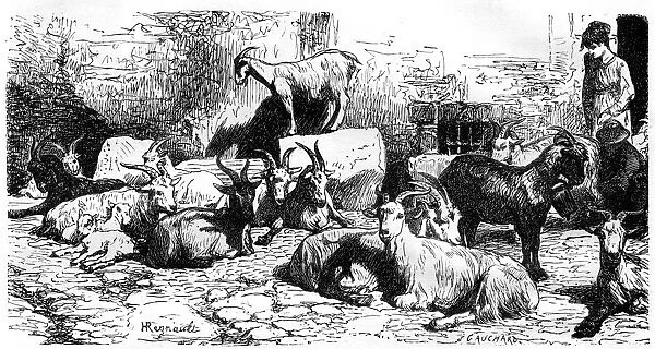 Goats of the Roman countryside, Italy, 19th century. Artist: J Cauchard