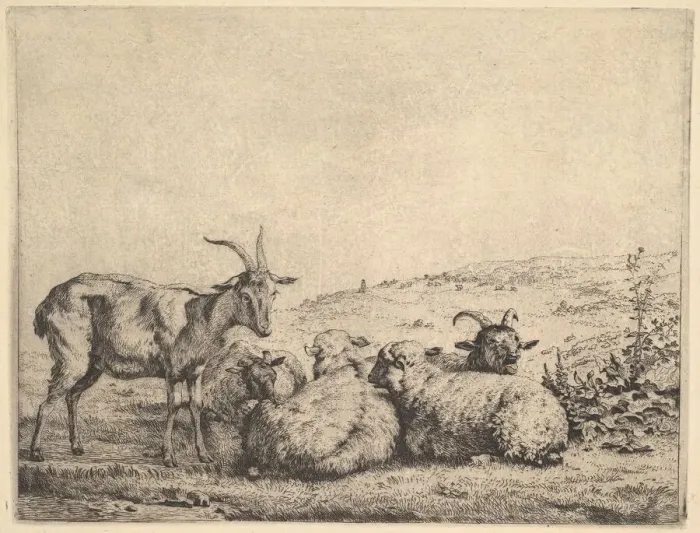 Framed Print : Two Goats and Three Sheep, 1655. Creator: Karel Du Jardin Framed Print : Two Goats and Three Sheep, 1655. Creator: Karel Du Jardin