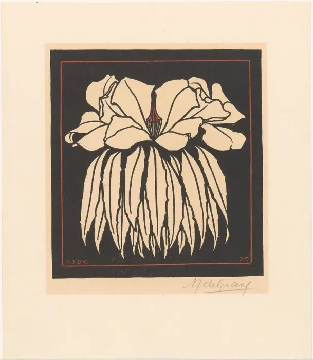 Framed Print : Godetia, 1919. Creator: Julie de Graag Framed Print : Godetia, 1919. Creator: Julie de Graag