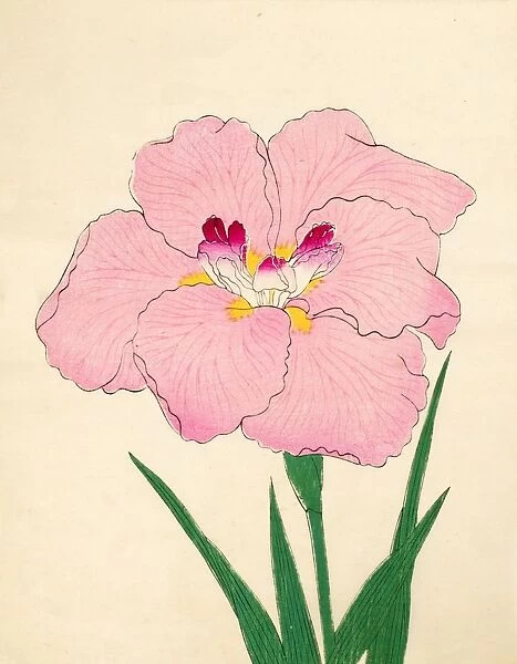 Gofukushoshu, No. 86, 1890, (colour woodblock print)