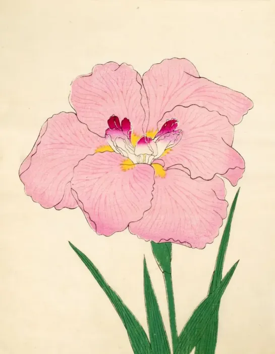 Framed Print : Gofukushoshu, No. 86, 1890, (colour woodblock print) Framed Print : Gofukushoshu, No. 86, 1890, (colour woodblock print)