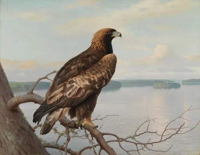 Framed Print : Golden Eagle by a Lake, 1897. Creator: Ferdinand von Wright Framed Print : Golden Eagle by a Lake, 1897. Creator: Ferdinand von Wright