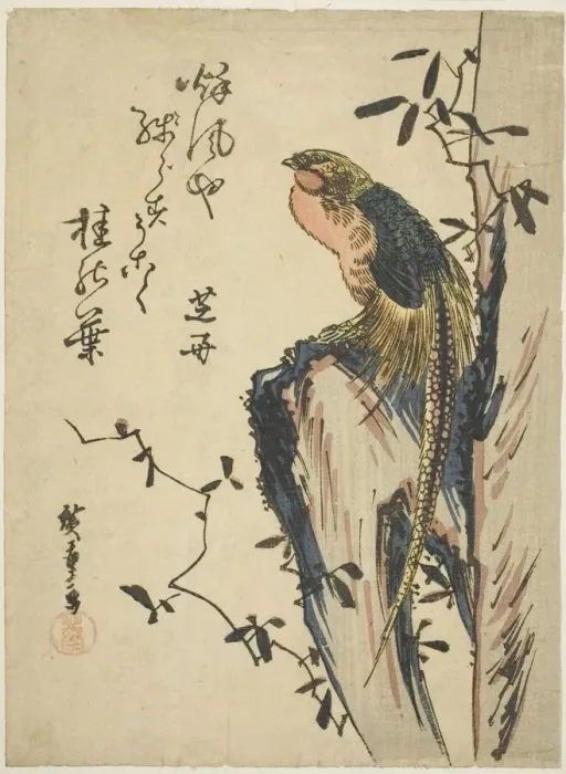 Framed Print : Golden pheasant, 1830s. Creator: Ando Hiroshige Framed Print : Golden pheasant, 1830s. Creator: Ando Hiroshige