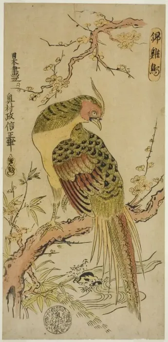 Framed Print : Golden Pheasant (Kinkeicho), c. 1720 / 25. Creator: Okumura Masanobu Framed Print : Golden Pheasant (Kinkeicho), c. 1720 / 25. Creator: Okumura Masanobu