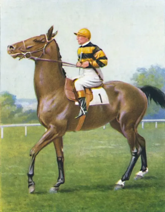 Framed Print : Golden Sovereign, Jockey: T. Weston, 1939 Framed Print : Golden Sovereign, Jockey: T. Weston, 1939
