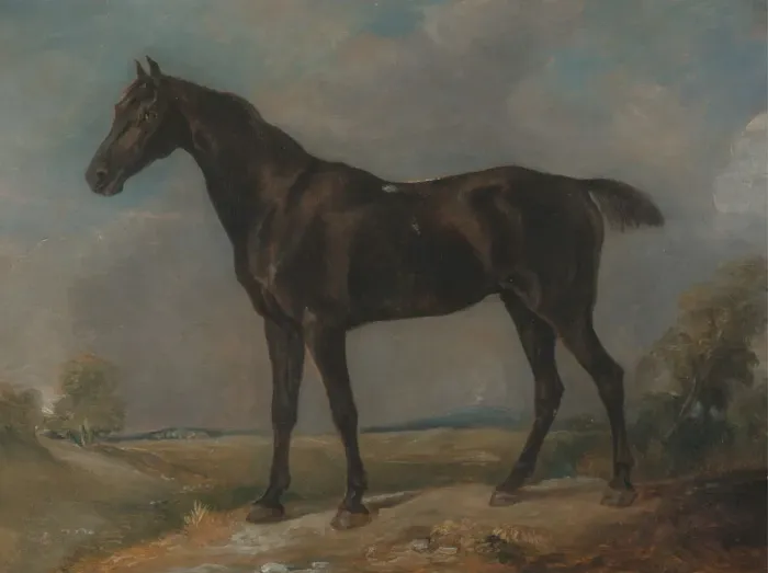 Framed Print : Golding Constables Black Riding-Horse, between 1805 and 1810. Creator: John Constable Framed Print : Golding Constables Black Riding-Horse, between 1805 and 1810. Creator: John Constable