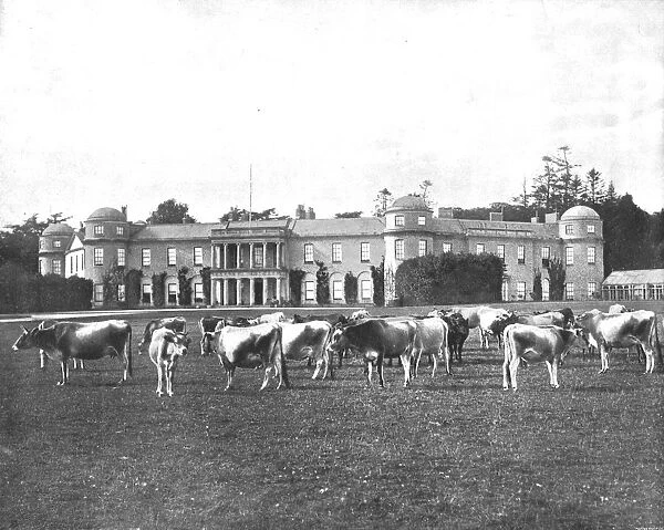 Goodwood, Hampshire, 1894. Creator: Unknown