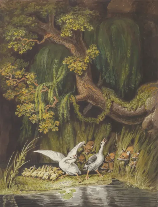 Framed Print : A Goose and a Gander with their Goslings Honking in Alarm as Two Foxes Framed Print : A Goose and a Gander with their Goslings Honking in Alarm as Two Foxes