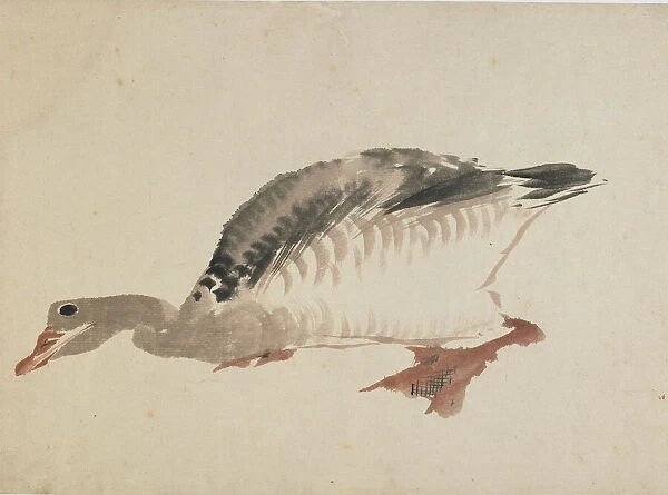 Goose, late 18th-early 19th century. Creator: Hokusai