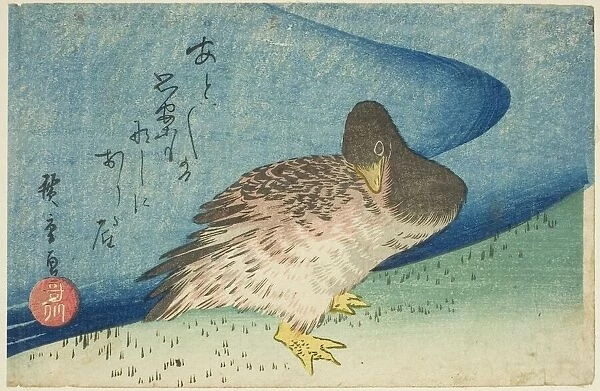 Goose on riverbank, c. 1833 / 34. Creator: Ando Hiroshige