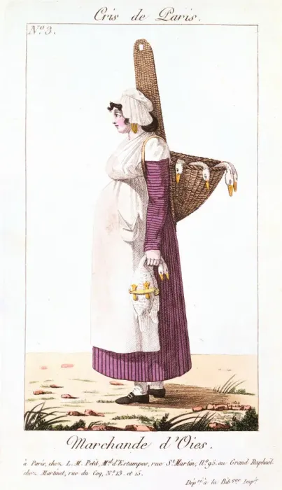 Framed Print : The Goose Seller, 1826 Framed Print : The Goose Seller, 1826