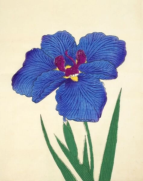 Gosetsu-No-Mai, No. 9, 1890, (colour woodblock print)