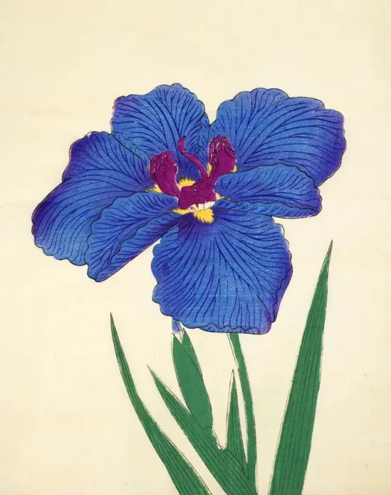 Framed Print : Gosetsu-No-Mai, No. 9, 1890, (colour woodblock print) Framed Print : Gosetsu-No-Mai, No. 9, 1890, (colour woodblock print)