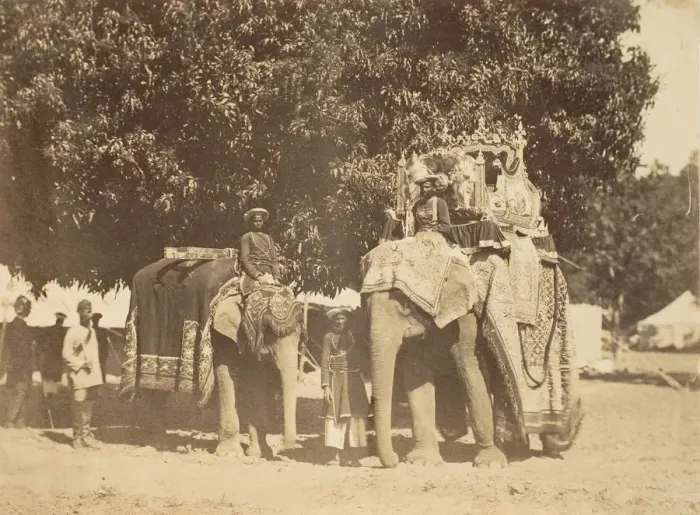 Framed Print : Governor Generals State Elephant and Silver Howdah, 1858-61. Creator: Unknown Framed Print : Governor Generals State Elephant and Silver Howdah, 1858-61. Creator: Unknown