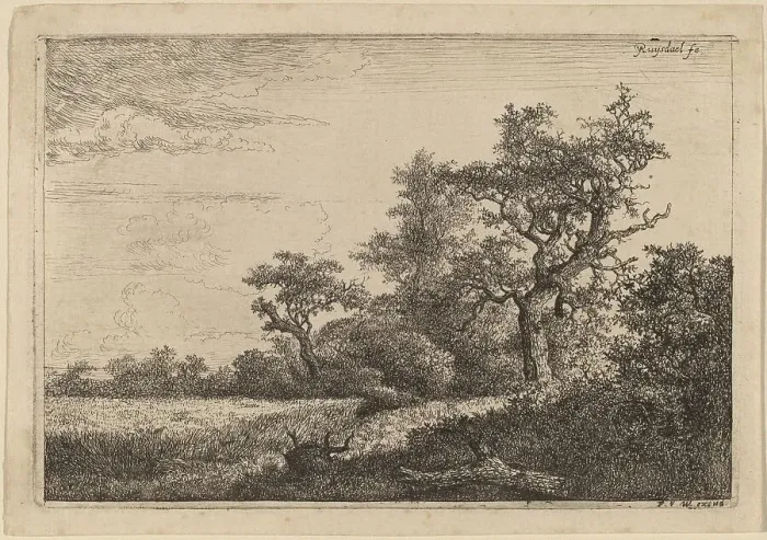 Framed Print : Grain Field at the Edge of a Wood (Corn Field). Creator: Jacob van Ruisdael Framed Print : Grain Field at the Edge of a Wood (Corn Field). Creator: Jacob van Ruisdael