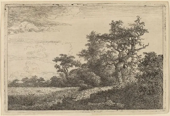 Framed Print : Grain Field at the Edge of a Wood (Corn Field). Creator: Jacob van Ruisdael Framed Print : Grain Field at the Edge of a Wood (Corn Field). Creator: Jacob van Ruisdael