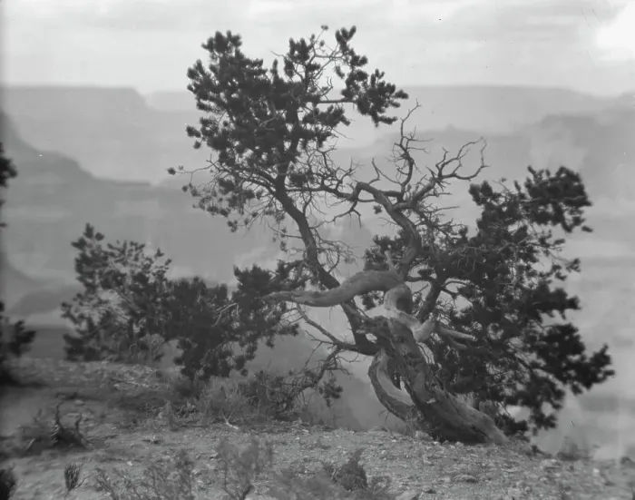 Framed Print : Grand Canyon, Arizona, between 1899 and 1928. Creator: Arnold Genthe Framed Print : Grand Canyon, Arizona, between 1899 and 1928. Creator: Arnold Genthe