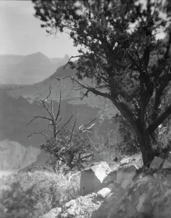 Framed Print : Grand Canyon, Arizona, between 1899 and 1928. Creator: Arnold Genthe