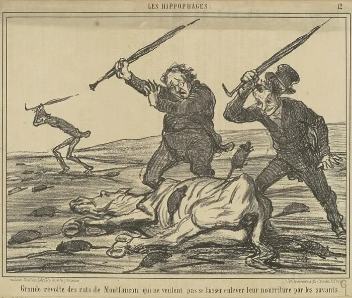 Framed Print : Grande révolte des rats de montfaucon... 19th century. Creator: Honore Daumier Framed Print : Grande révolte des rats de montfaucon... 19th century. Creator: Honore Daumier