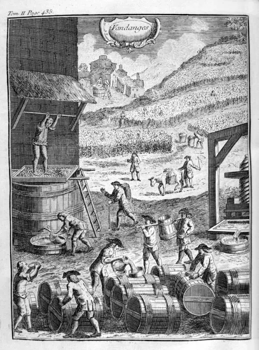 Framed Print : Grape harvest, 1775 Framed Print : Grape harvest, 1775