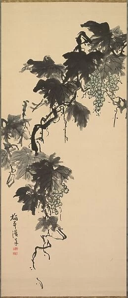 Grapes, 1800s. Creator: Baikan Sugai (Japanese, 1784-1844)