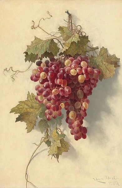 Grapes Against White Wall, 1883. Creator: Edwin Deakin