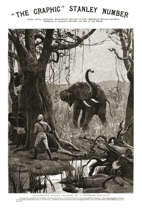 Framed Print : The Graphic Stanley Number; Lieutenant Stairs Charged by a Wounded Elephant, 1890. Creator: Unknown Framed Print : The Graphic Stanley Number; Lieutenant Stairs Charged by a Wounded Elephant, 1890. Creator: Unknown