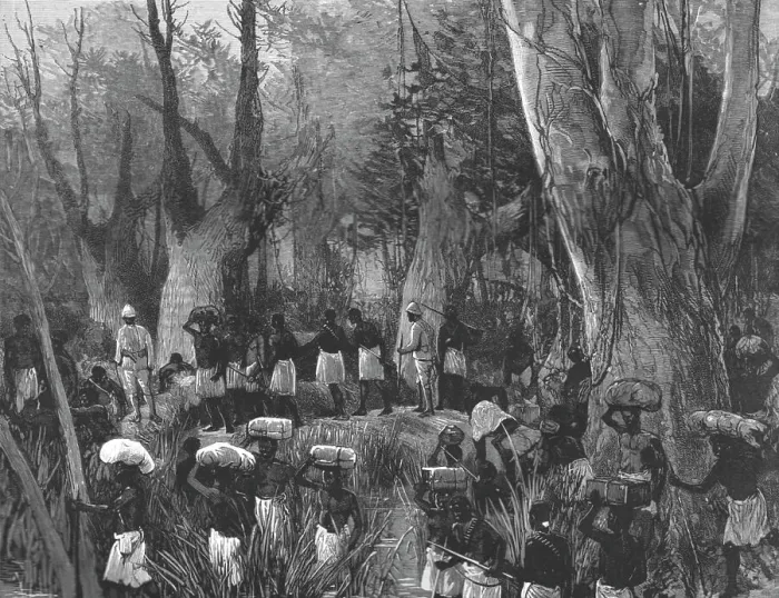 Framed Print : The Graphic Stanley Number; The Vanguard of the Expedition Marching throughthe Primaeval Forest, Creator: Unknown Framed Print : The Graphic Stanley Number; The Vanguard of the Expedition Marching throughthe Primaeval Forest, Creator: Unknown