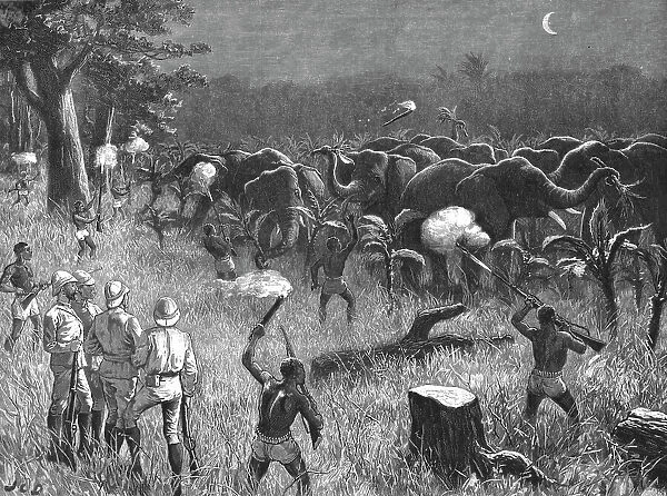 The Graphic Stanley Number; Zanzibaris Scaring Elephants which were destroying a Banana Grove near Creator: Unknown