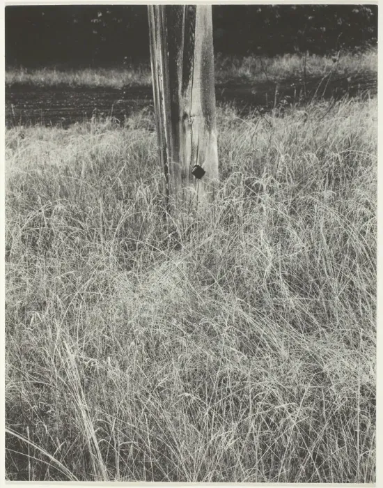 Framed Print : Grass and Flagpole, 1933. Creator: Alfred Stieglitz Framed Print : Grass and Flagpole, 1933. Creator: Alfred Stieglitz